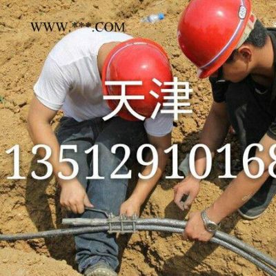 天津柔性石墨接地線 石墨纜接地線 石墨盤根