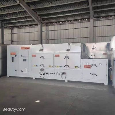 催化燃燒 定制 沸石轉輪催化燃燒一體機 化工廢氣處理設備