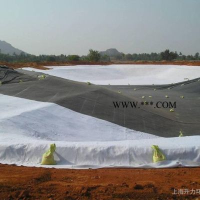石灰廠防滲 石膏廠防滲 電廠調(diào)節(jié)池 光面土工膜 雙光面防滲膜