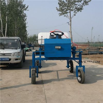 四川省雅安市石棉縣噴霧器直銷廠家推車式高壓動(dòng)力噴霧器 -