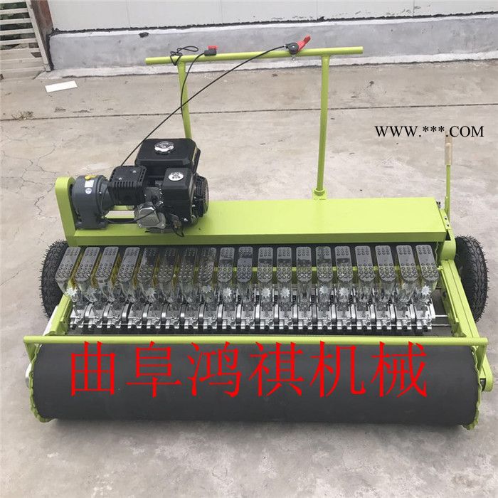 石棉縣 蔬菜精播機(jī) 多功能菜種子精播機(jī) 水蘿卜播種機(jī)2