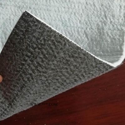 國標5000g膨潤土防水毯 GCL防水毯 納基膨潤土防水毯 防水毯 防滲墊