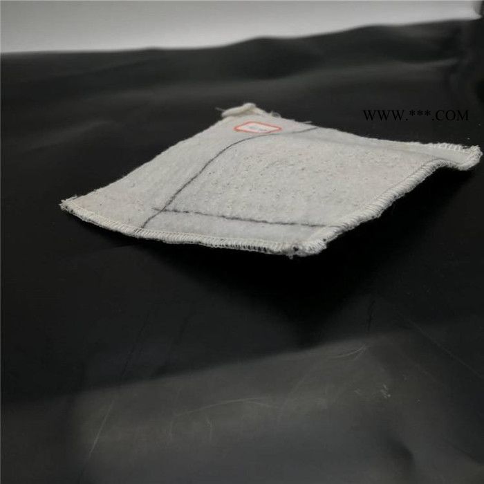 國(guó)創(chuàng) 防水毯 膨潤(rùn)土防水毯廠家直供 規(guī)格齊全