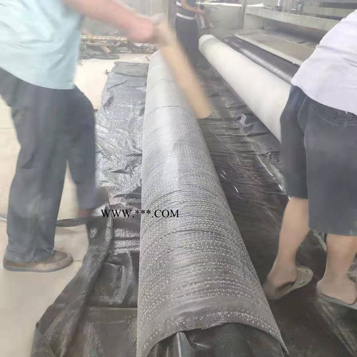 立恒膨潤(rùn)土防水毯  防水毯 廠家定制