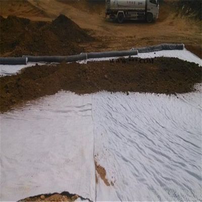 廠家直供鈉基膨潤土復(fù)合防水毯， 膨潤土防水毯 自產(chǎn)自銷 歡迎下單