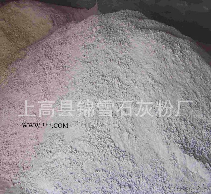 專業(yè) 重質(zhì)活性碳酸鈣 2500目重質(zhì)碳酸 活性硅灰石粉精礦粉