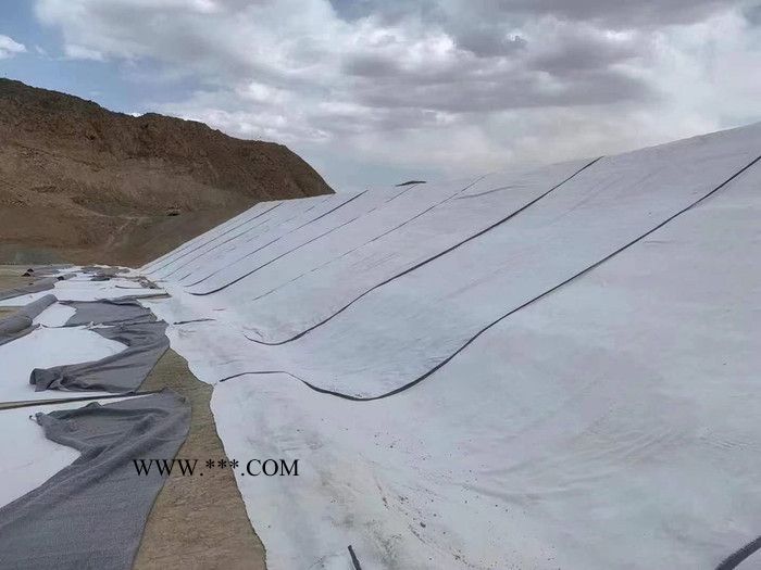 膨潤土防水毯 批發(fā)人工湖垃圾填埋場防滲用膨潤土防水毯 銳宸供應(yīng)品質(zhì)保障