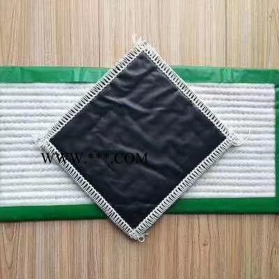 天仁新材料 覆膜膨潤(rùn)土防水毯 垃圾填埋場(chǎng)專業(yè)復(fù)合膨潤(rùn)土防水毯 廠家 規(guī)格齊全