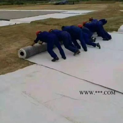 禾鵬 防水毯   膨潤(rùn)土防水毯廠(chǎng)家   現(xiàn)貨直供