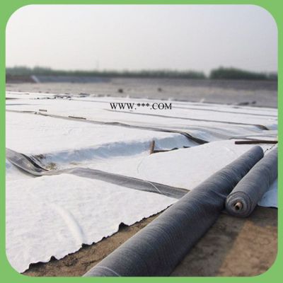鈉基膨潤土防水毯  水泥毯 直銷