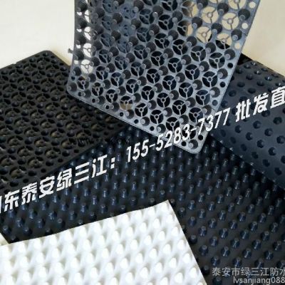 石棉縣凸點(diǎn)向上排水板廠家