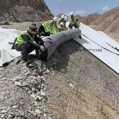 廠家定制生產人工湖河道防滲用膨潤土防水毯 垃圾鎮(zhèn)埋場防滲 復合防水毯