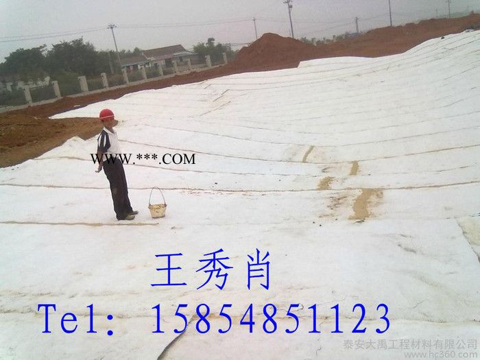 供應(yīng)大禹膨潤(rùn)土防水毯 成都膨潤(rùn)防水毯供應(yīng)