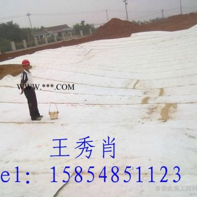 供應(yīng)大禹膨潤(rùn)土防水毯 成都膨潤(rùn)防水毯供應(yīng)