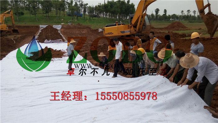 湖北膨潤土防水毯丨覆膜防水毯丨土工布**量大優(yōu)惠