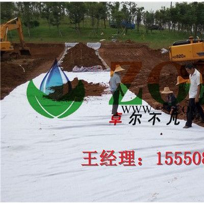 湖北膨潤(rùn)土防水毯丨覆膜防水毯丨土工布**量大優(yōu)惠