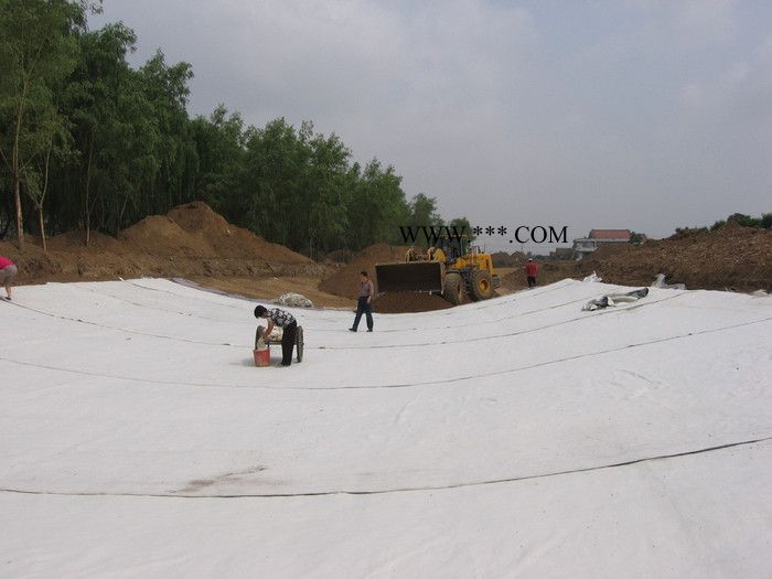 泰安路通建材有限公司鈉基膨潤土防水毯