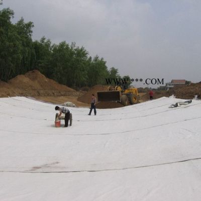 泰安路通建材有限公司鈉基膨潤(rùn)土防水毯