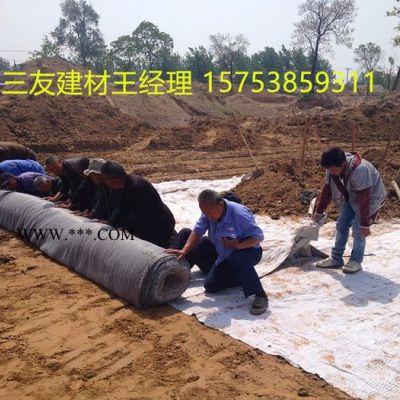 當天發(fā)貨三友5kg膨潤土防水毯