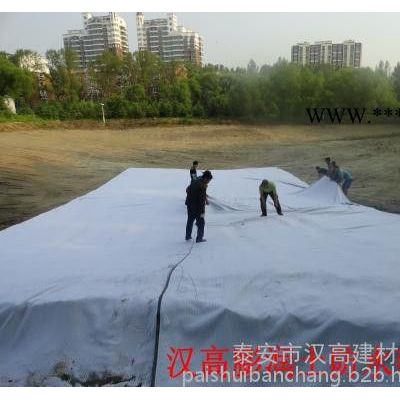 南長區(qū)膨潤土防水毯,江陰膨潤土防水毯