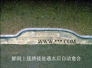 膨潤土防水毯  防水毯