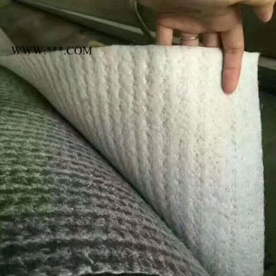 鴻躍國(guó)標(biāo) 膨潤(rùn)土防水毯施工方案