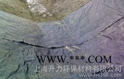 防水毯 GCL防水毯 鈉基膨潤土防水毯 膨潤土墊 GCL膨潤土防水毯