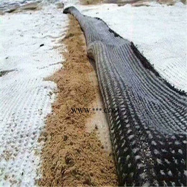 天然鈉基膨潤土防水毯
