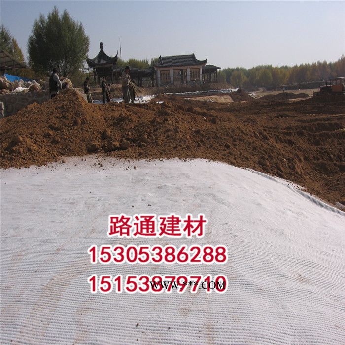 路通建材  膨潤土防水毯  十二年**生產廠家