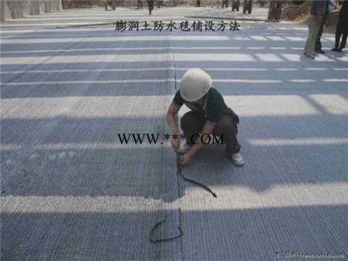 膨潤土防水毯價格,膨潤土防水毯,中瑞土工材料