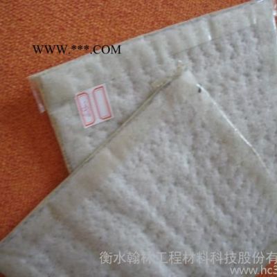 膨潤土復(fù)合4000g土工墊參加價(jià)格
