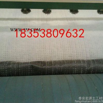 泰安膨潤土防水毯生產(chǎn)廠家宏源