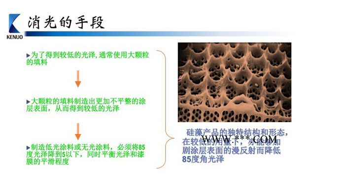 SICON 285 消光劑－用于厚膜涂料和建筑涂料的硅藻土消光劑