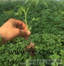 育苗基質(zhì) 栽培基質(zhì) 膨脹蛭石