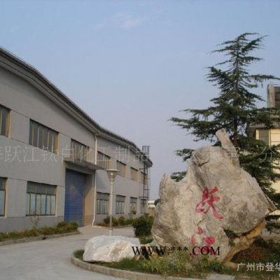 代理金紅石型鈦白粉R-02 烏克蘭
