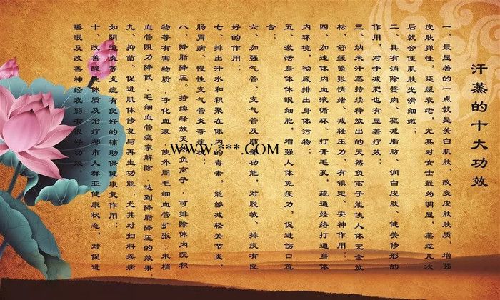 供應(yīng)汗蒸房電氣石竹簾