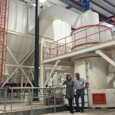 桂林鴻程6R 葉臘石雷蒙磨礦用大型雷蒙磨粉機