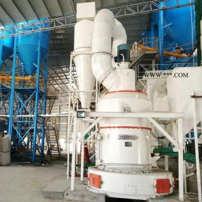 活性葉臘石粉雷蒙磨 小型雷蒙磨石粉機(jī) 2r小型雷蒙磨