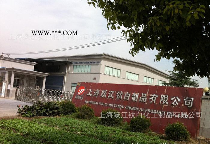 油漆涂料塑料金紅石鈦白粉R216**法）