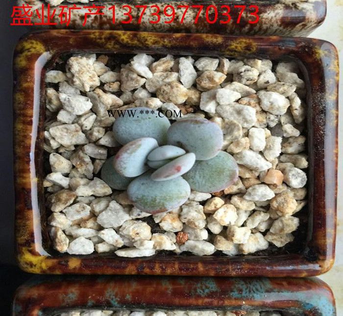 肉植物盆栽 種植拌土 鋪面土 麥飯石3-6mm 麥飯石球25