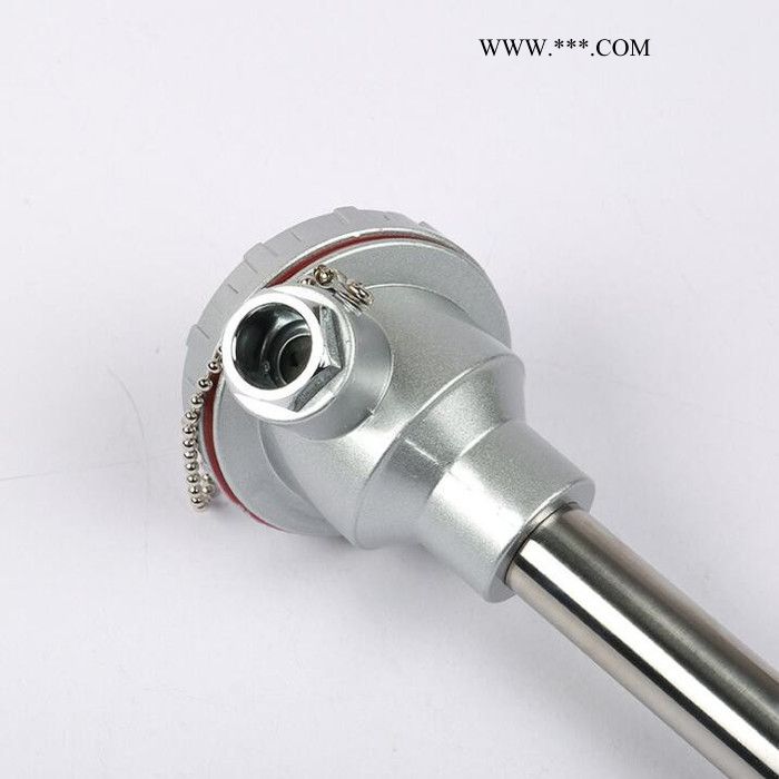 S型鉑銠熱電偶WRP-130  0-1600度高溫剛玉管熱電偶 溫度傳感器 **支持定制