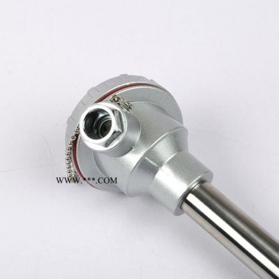 WRPK-420/530 S型鉑銠熱電偶WRP-130B型R型0-1600度高溫剛玉管熱電偶溫度傳感器