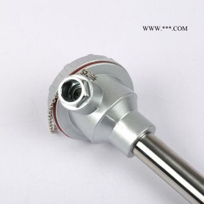 WRR-120 鉑銠熱電偶  鉑銠熱電偶**0-1600度高溫剛玉管熱電偶溫度傳感器熱電偶