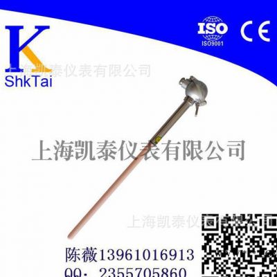 專業(yè)生產(chǎn)剛玉熱電偶 WRP-130鉑銠熱電偶 S型