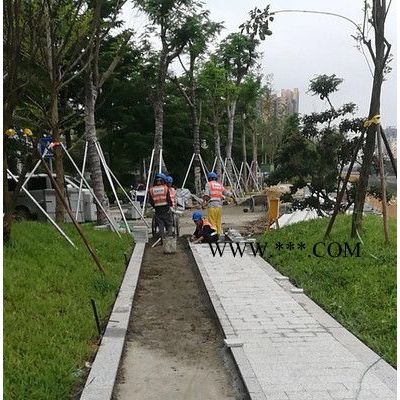 深圳三磊大理石廠G684福鼎黑 加工定制 精密磨光平面 平板大理石 福鼎黑