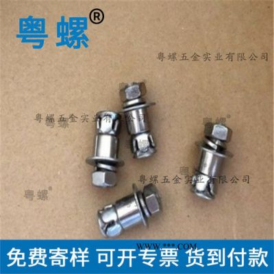 廣州螺絲廠家 粵螺生產(chǎn)不銹鋼螺絲 大理石幕墻敲擊背栓