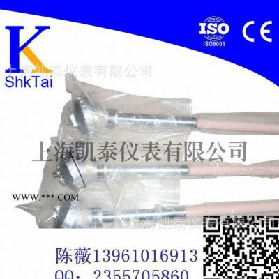 貴金屬WRR-130鉑銠熱電偶  剛玉保護(hù)管