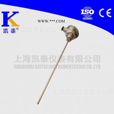 WRM-131 ￠8*700*550  剛玉N型熱電偶