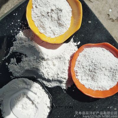 辰洋供應(yīng)鈣粉 郴州重質(zhì)碳酸鈣 白云石顆粒