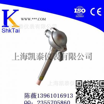 WRQ-130型/剛玉熱電偶/R型耐高溫熱電偶